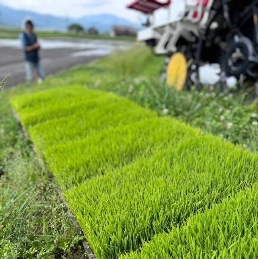 【7月の山城屋酒造】